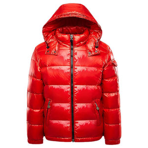 2024 hommes légers manteaux d'hiver chaud matelassé bulle rembourré capuche manteau imperméable bouffant veste pour hommes - Product Image 1