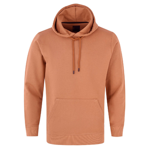 2025 haute qualité 100% coton surdimensionné pull à capuche pour hommes sweats à capuche personnalisés vêtements thermiques automne saison à capuche pour unisexe - Product Image 1