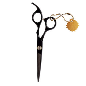 Ciseaux de coiffeur allemands professionnels d'acier inoxydable Offre Spéciale les ciseaux droits de coupe de cheveux pour les soins personnels - Product Image 4