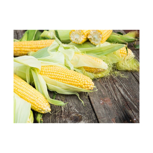 Maïs jaune/maïs jaune pour l'alimentation des animaux Style sec de volaille - Product Image 5