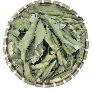 El mejor precio 100% hoja de guayaba seca natural hecha en Vietnam con alta calidad - Product Image 6