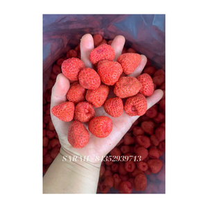 FD Venta al por mayor Fruta seca a granel Rodajas de fresa liofilizadas Chips Rodajas de fresas deshidratadas Embalaje a granel 5Kg, 10Kg. - Product Image 1