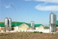 Edificio Prefabricado de Acero para Aves de Corral, para la Producción de Pollos de Engorde y Ponedoras en Granjas Avícolas