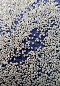 Grade de diamant naturel grain noyau huile gaz extraction géologique forage forage roche outils de coupe dynamitage médias Soham industriel - Product Image 4