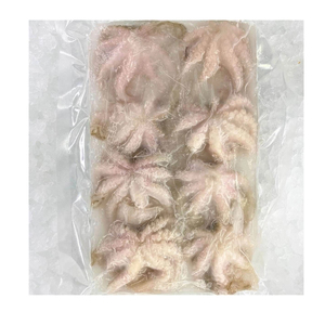 Pulpo bebé pequeño congelado fresco a la venta a bajo precio - Product Image 1