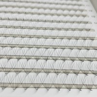 Cils Promade ELFA Fans, faits à la main, naturels, doux, personnalisés, en PBT coréen, boîtes personnalisées, couleur personnalisée, cils longs et épais, emballage CC