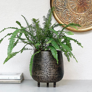 Perfection How the Right Planter Can Transform <b>Your</b> Plants Plant <b>Love</b> Elevating <b>Your</b> Greenery with Stylish Planters - Product Image 4