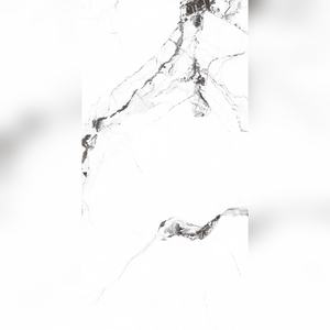 Magníficas Losas de Porcelana Vitrificada Brillante de 600x1200 mm Diseñadas para una Integración Perfecta en Grandes Visiónes Arquitectónicas - Product Image 1