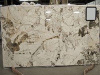Dalles de granit galaxie rouge, gris et noir et forêt noire Taille de la scie à bande et taille de coupe spéciale pour les applications intérieures et extérieures