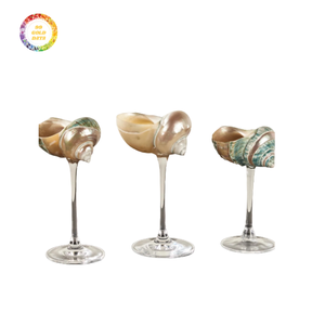 Coupe de coquillages classique pour restaurants, hôtels et décoration intérieure disponible en gros à un prix abordable - Product Image 1