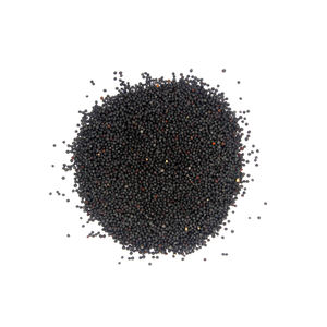 Suministro a granel de colza con entrega rápida para uso alimentario e industrial - Product Image 3