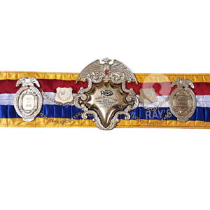 Cinturones de campeonato de boxeo Trofeos Medallas y premios el símbolo definitivo de la victoria y la excelencia Cinturones de Campeonato - Product Image 2