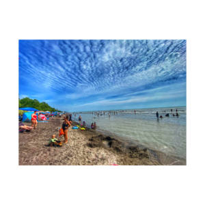 Beech Long ofrece troncos de madera duraderos de alta calidad a granel para todo tipo de construcción a excelentes precios - Product Image 5