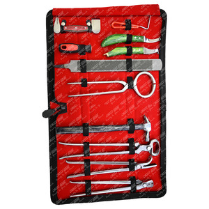 Best Farrier <b>Tools</b> Kit hoof cutter horseshoe <b>puller</b> clinching pliers hoof loop knife testing <b>tool</b> Basic Hoof Pick for horses - Product Image 5