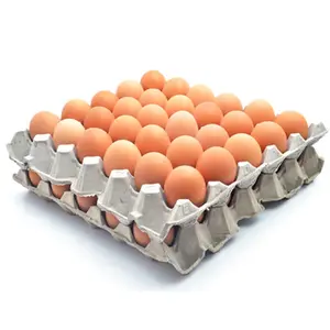 Huevos de mesa de pollo fresco de granja y huevos para incubar fertilizados, huevos marrones a bajo precio/suministro de EE. UU.