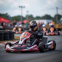 Los karts eléctricos son adecuados para que los adultos los compren. Ofrecen karts electrónicos de alta velocidad.
