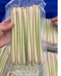 Tiges de citronnelle de qualité supérieure pour le marché international / Qualité naturelle pour l'exportation - Product Image 6