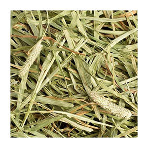 ALFAFA HAY READY for SUPPLY/ Alfalfa hay with High Protein for <b>Animal</b> <b>Feeding</b> - Product Image 4