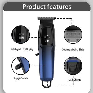 Cerámica alimentada por batería para uso doméstico y exterior Idioma inglés - Product Image 3