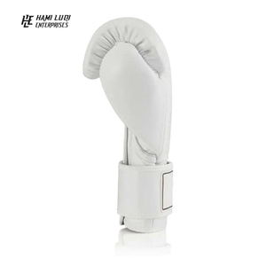 Vente en gros 2025 Premium MMA Gants de boxe pour les sports de combat-Gants de protection avec une meilleure adhérence pour la boxe, MMA et Muay Thai - Product Image 4