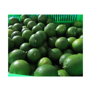Lima fresca sin semillas de origen vietnamita, limón verde jugoso para procesamiento de alimentos, cocina, decapado, bebida, uso al por mayor - Product Image 1