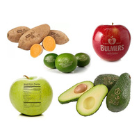 Nouvelle machine de marquage laser CO2 20W pour fruits, noix de coco, format DXF/DST, facile à utiliser, fonction 3D, refroidissement par air, certifiée CE, pour usage domestique sur table.