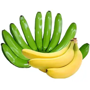 Qualité Cavandish Banana Leaf Indonésie Green Banana Cavendish Fresh Cavendish pour les acheteurs du monde entier