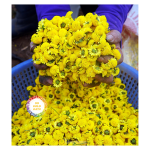 FLEURS DE CHAMOMILLE SÉCHÉES DE QUALITÉ SUPÉRIEURE DU VIETNAM FOURNISSEUR EXPORTATION EN VRAC POUR APPLICATION À BASE - Product Image 3