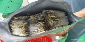 VENTE TOTALE 2024 FRUIT DU DRAGON BLANC LYOPHILISÉ SANS SUCRE FRUITS DU DRAGON SÉCHÉS FRUITS SÉCHÉS CHAUDS VIETNAM - Product Image 5