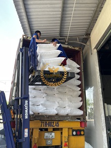 Noix de coco déshydratée de haute qualité, faible en gras (40-45%), additifs de qualité alimentaire fournis par le Vietnam - Product Image 4