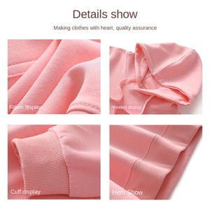 Sweat-shirt à capuche en molleton 100% coton pour femme, en pur coton respirant, logo personnalisé, tricot lourd surdimensionné, printemps-hiver - Product Image 4