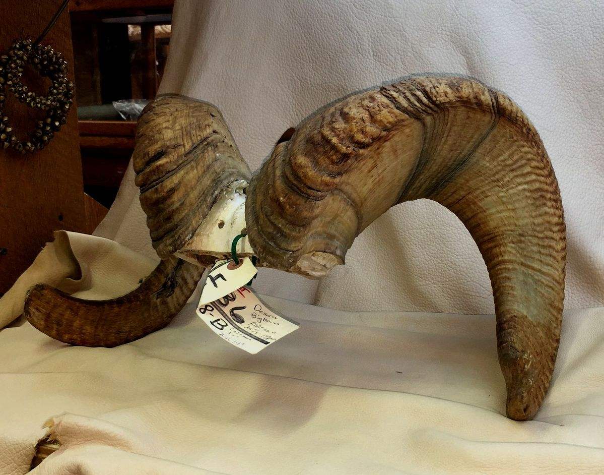 ธรรมชาติ