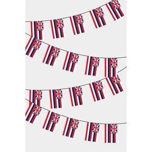Hawaii Rectangular Flag Bunting for Chinese New Year Ramadan Valentine's Day Occasions - Product Image 1