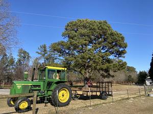 Rodamientos, Motores, Engranajes, Bombas y Caja de Cambios Esenciales para Tractor de Ruedas John Deere 4020 de 1969 con Motor Diésel de 90HP - Tractor Usado en Venta - Product Image 3