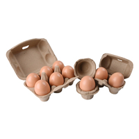 Boîtes à œufs biodégradables personnalisées en gros, boîtes de 6, 10, 12 œufs, plateau d'emballage pour œufs en pulpe de papier avec logo