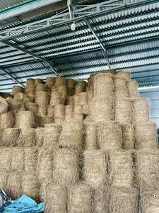 Paquetes de paja de arroz de buena calidad Productos agrícolas Precio atractivo Paja DE TRIGO Alimentación animal - Product Image 4