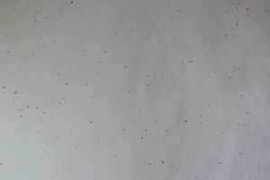 Papier recyclé en coton de qualité supérieure, fait à la main, couleur crème, taches de graines, 300 g/m² - Product Image 3