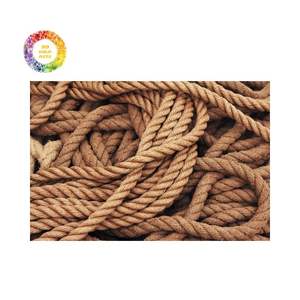 Corde de coco robuste 100% fibre de noix de coco naturelle pour usage industriel - Product Image 6