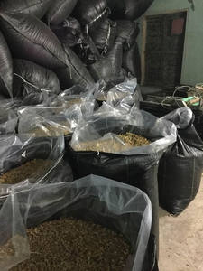 Citronnelle du Vietnam de qualité supérieure, citronnelle séchée de qualité supérieure, variété d'exportation de haute qualité - Product Image 6