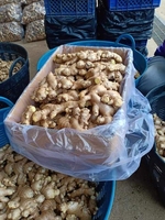 Offre Spéciale Fruit naturel/gingembre frais/gingembre fabriqué au VietNam