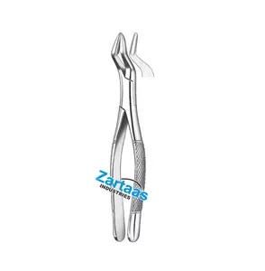 2024 High Quality Stainless Steel Dental Instrument Parmly Extracting Forceps for upper molars and premolars