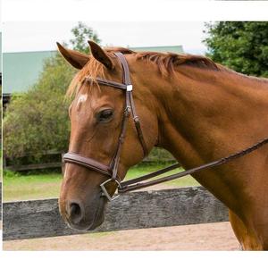 Brida de caballo MEJOR Cuero genuino de alta calidad Brida de caballo de cuero genuino de alta calidad - Product Image 4