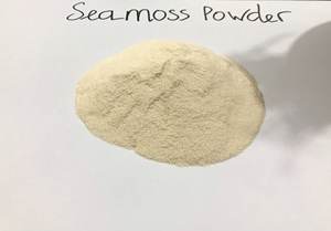 High Quality Seamoss Powder 100% From Natural <b>Seaweed</b> with Competitive Price - Product Image 2