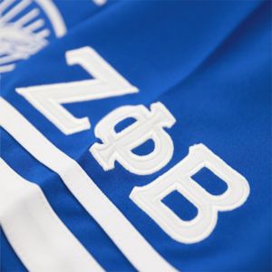 Maglia calcio ZPB-blu reale | 100% poliestere Zeta Phi Beta Jersey con loghi ricamati e scudo | Collo a v, maniche a righe