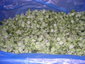 Brocoli crucifère de légumes frais surgelés de valeur de grille avec des sélections de qualité supérieure-nouvelle culture de brocoli surgelé légume surgelé à vendre - Product Image 6