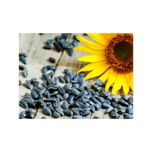 Non GMO Organic Bird Food Black Sunflower Seeds