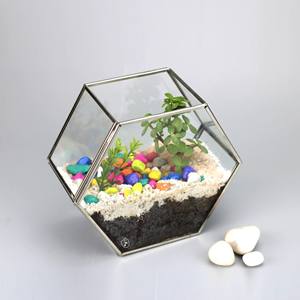 Brass Glass Pentagon Regular Geometric Terrarium Container Miniature Outdoor <b>Fairy</b> Garden <b>Gift</b> Customized Size & Style - Product Image 1