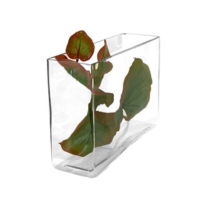 VBV3107 - Vase rectangulaire en verre - 3 x 10 x 7 - Product Image 4