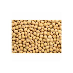 NON-GMO Soja à vendre Soja jaune-Soja aux meilleurs taux du marché - Product Image 4