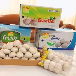 Organic <b>Fresh</b> Pure White <b>Garlic</b> For Sale - Product Image 3